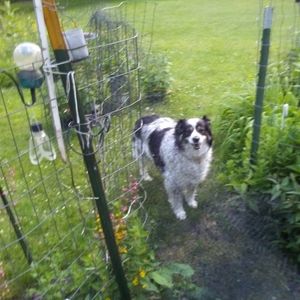 Meet your Posher, Nancy